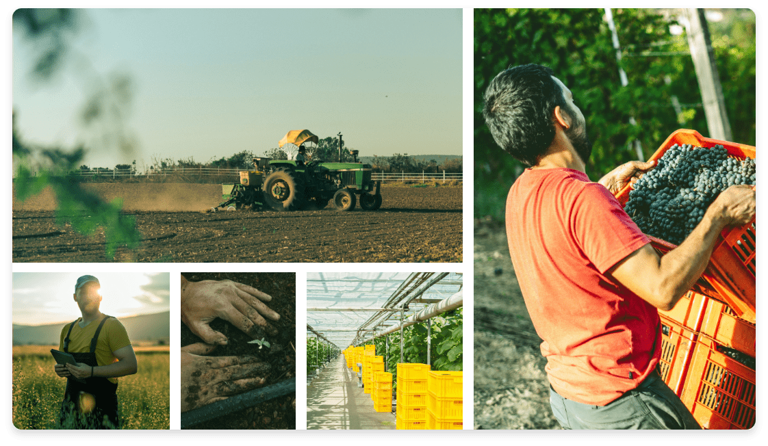 Agriverse Azienda Agricola