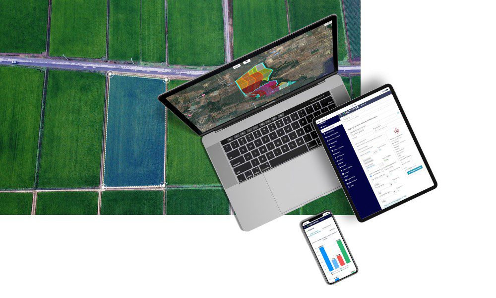 Campi lottizzati e mockup di Agriverse